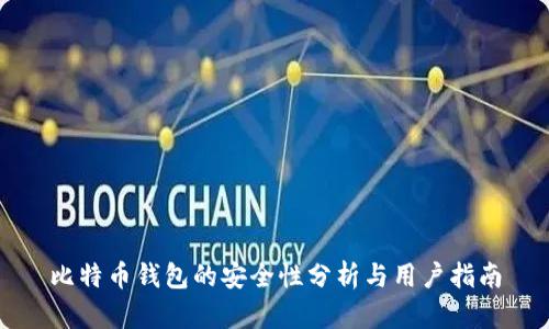比特币钱包的安全性分析与用户指南